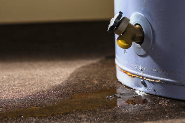Best Commercial water damage restoration  in Reynolds Heights, PA