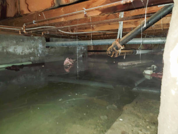 Reynolds Heights, PA Water damage restoration Pros