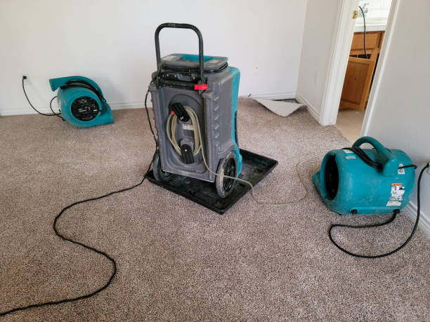 Best Water damage restoration insurance claims  in Reynolds Heights, PA