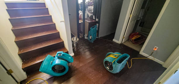 Best Flood damage cleanup  in Reynolds Heights, PA