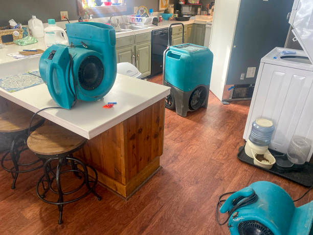 Best Sewage cleanup and water damage restoration  in Reynolds Heights, PA