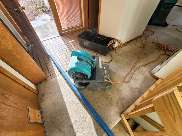 Best Water damage restoration services  in Reynolds Heights, PA