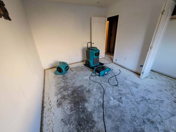 Best Water damage restoration experts  in Reynolds Heights, PA