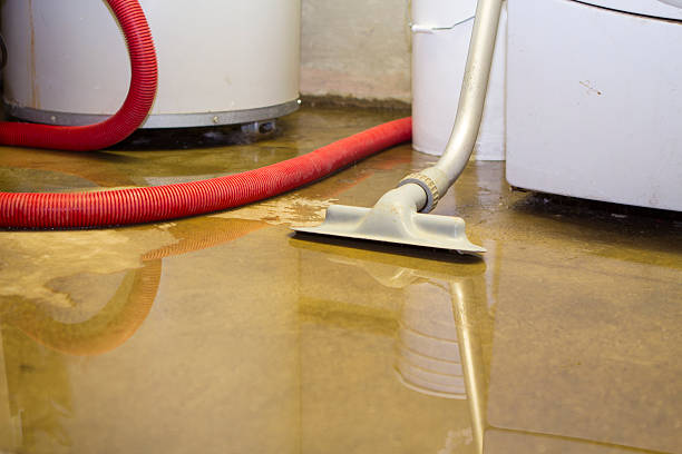 Best Water damage restoration near me  in Reynolds Heights, PA