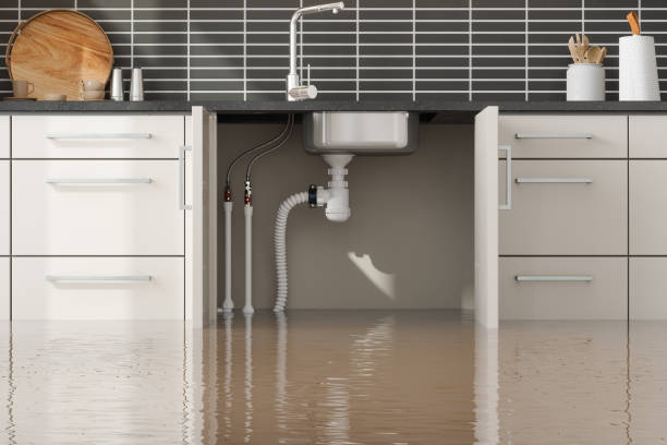 Best 24/7 water damage repair  in Reynolds Heights, PA