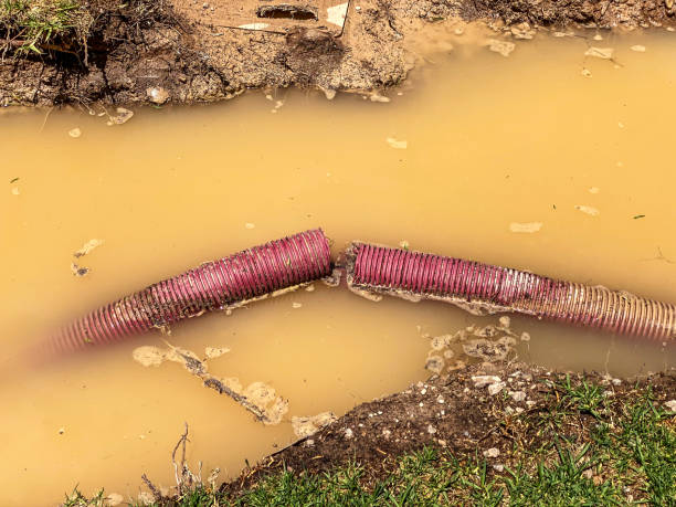 Best Flood restoration services  in Reynolds Heights, PA