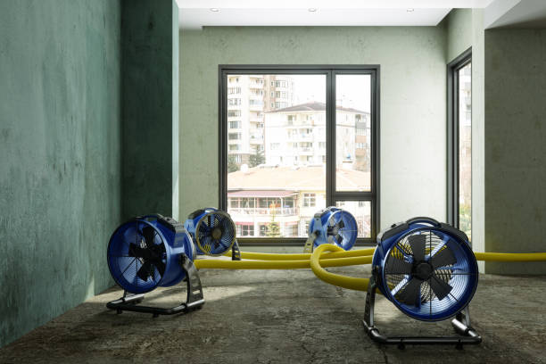 Best Residential water damage restoration  in Reynolds Heights, PA