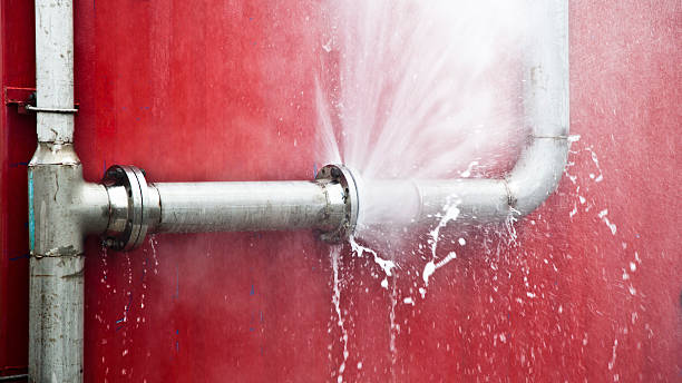 Best Ceiling water damage repair  in Reynolds Heights, PA